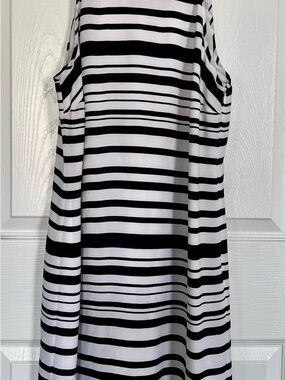 Banana Republic Black and White Striped Midi Dress